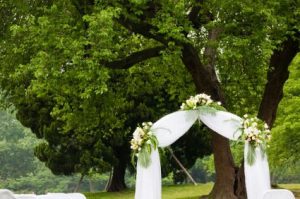 Garden Wedding Arch