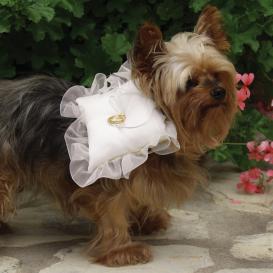 dog ring bearer