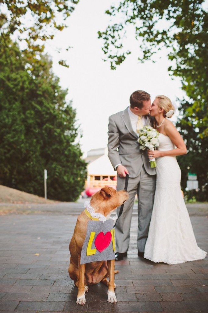 dogs at weddings