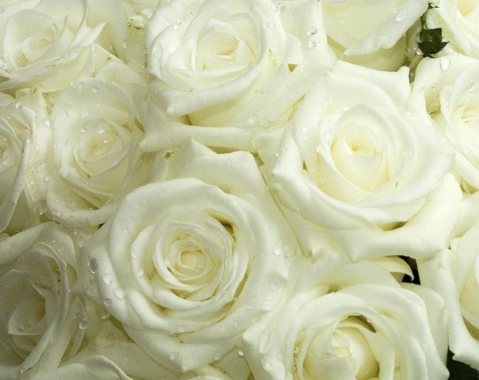 elegant white wedding flowers