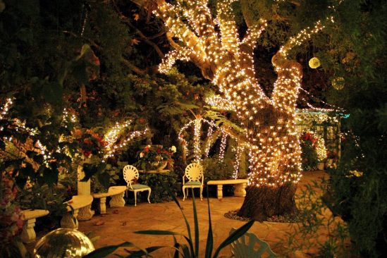 Garden wedding