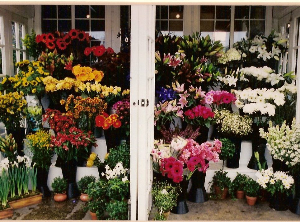 wedding planning ideas