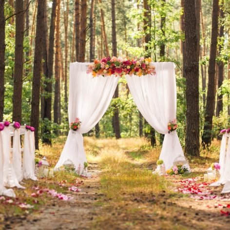 Beautiful forset wedding setting