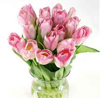 pink flower arrangements