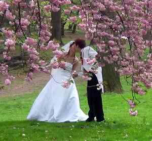 spring wedding
