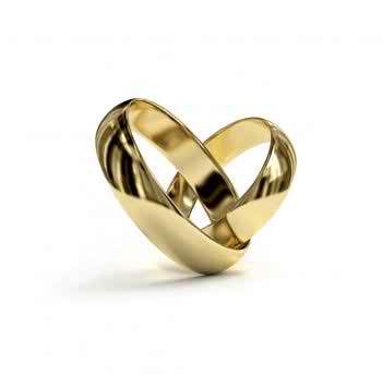the-wedding-rings