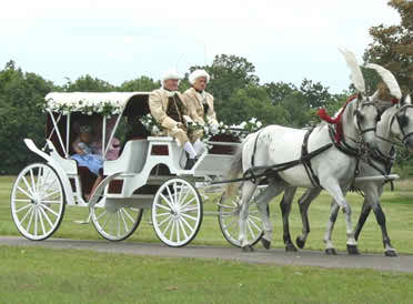 weddings in chariots 3