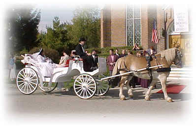weddings in chariots