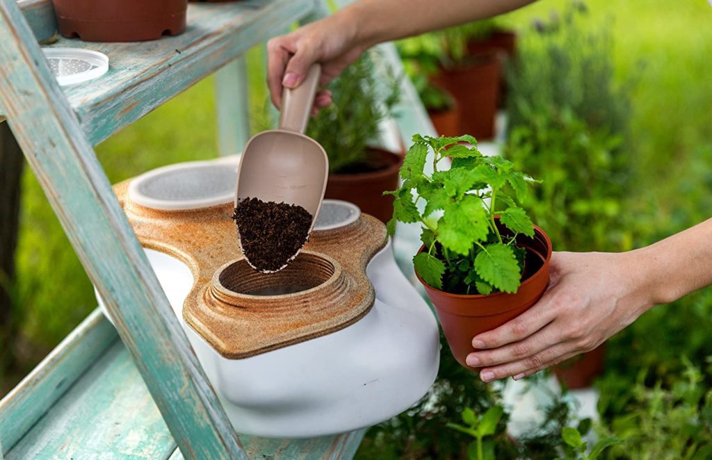 Living composter powered by food waste with plant growing from pot