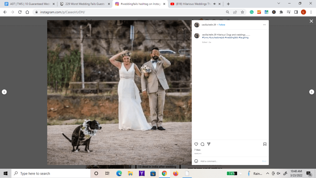 Bride and groom holding a hand over face and head while their dog photo bombs their picture