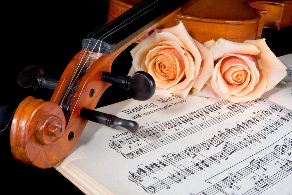 music sheet and violin with peach roses